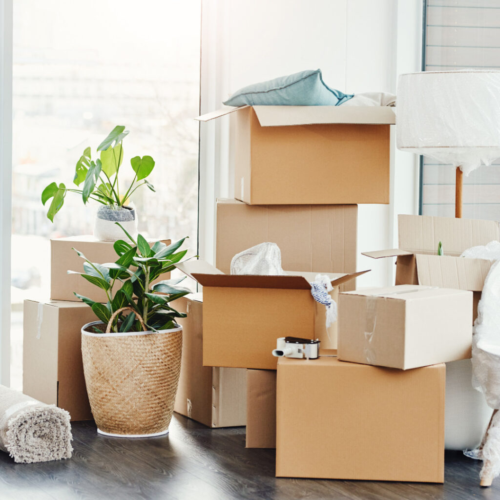 Read more about 15 Expert Tips to Make Your Move Less Stressful