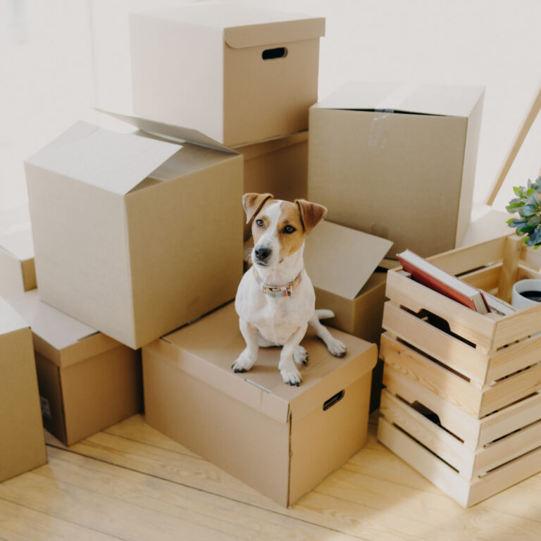 Moving to a new home can be both exciting and stressful, not just for you but also for your furry friends. Pets thrive on routine and familiarity, so the disruption caused by moving can be particularly challenging for them. To ensure a smooth transition for your beloved pets, we've compiled a comprehensive guide to make moving with pets stress-free. From planning ahead to creating a safe space, these tips will help you minimize anxiety and ensure a positive experience for your furry family members.